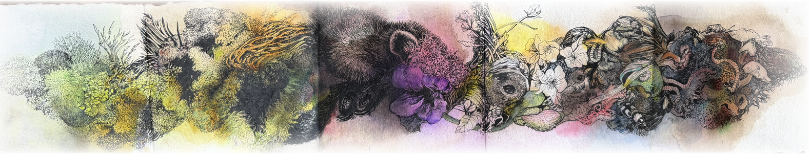 Watercolor and ink by Krista Dragomer: pale botanical washes gathering into a dark animal, then blooming into flowers and fungal forms